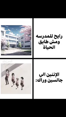 #creatorsearchinsights #انمي #فاروق_المغربي #رياكشنات #explore 