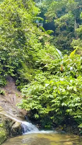 #🌲🌳🏞️🥰✌️ 