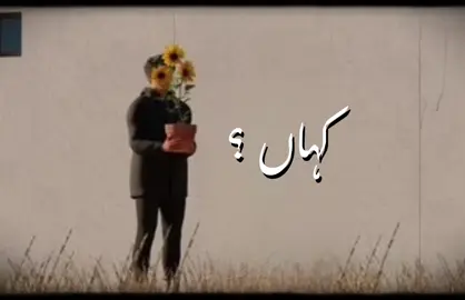 Faasle | by kavish | 🤍🕊️.     #foryouu #trending #foryoupagе #viralvideos #tay_bie 