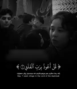 سورة الفلق - معاذ الشامي #قران_كريم #معاذ_الشامي #rawakurdy #اكسبلور #viral 