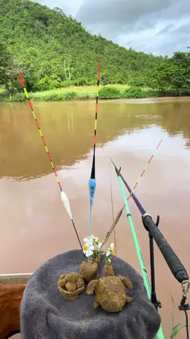 Làm phép cỡ này cá kh ăn cũng chịu à kkk cúng cấp hà bá đầy đủ r đó kk🤣🤣#câucagiaitri #câucá #xuhuongtiktok #