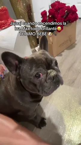 🤭🤭🤭🤭