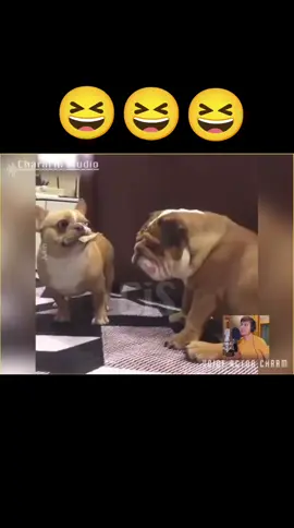 #ချစ်စရာကောင်းတာတစ်ခုပြမယ်🥺🎀 #ချစ်တဲ့စိတ်လေးနဲ့ကြည့်ပေးပါနော်😘😘😘😘 #celeမှအသဲပေးကြတာလားဗျာ 
