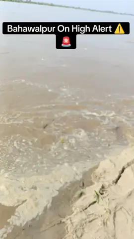 Bahawalpur On High Alert⚠️🚨 #flooding #daryaesatluj  #TiktokPunjab #foryoupage #HASNAIN #bahawalpur #daryaesatluj🌊💧 #flood #foryou 