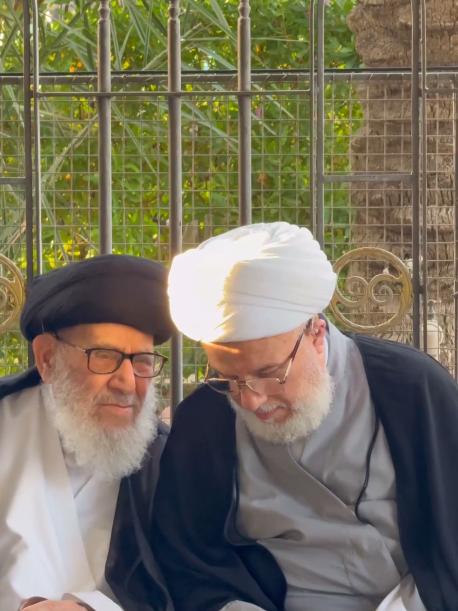 #السيد_مرتضى_القزويني 