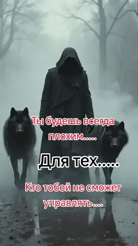 #врекомендации 