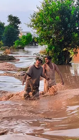 #pakkabaddiofficial #tarinding 