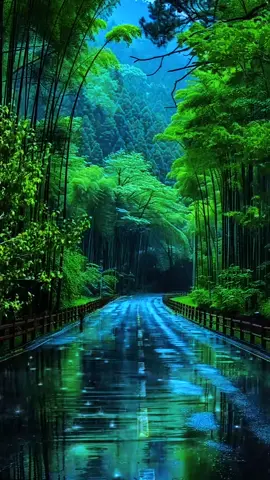 #creatorsearchinsights #nevergiveup 