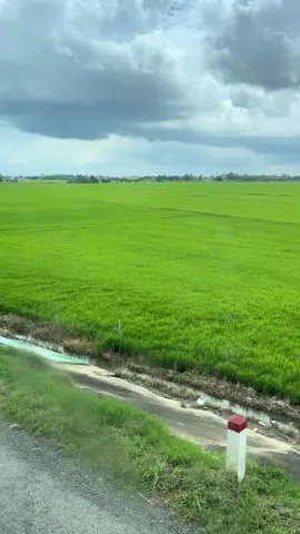 Về quê nghỉ lễ thôi 