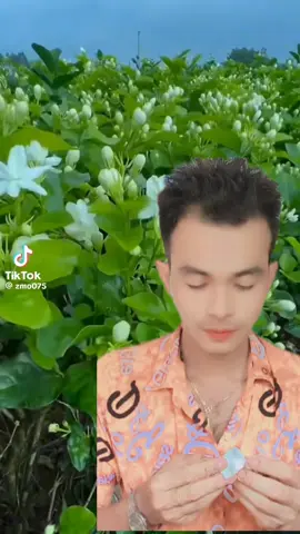 ##အေးမြို့သားလေးkkm ##မြင်သူငေးမွှေးချင်တာ###@ပူတူးလေး @🇸🇬 ဖိုးလပြည့် 🇲🇲 