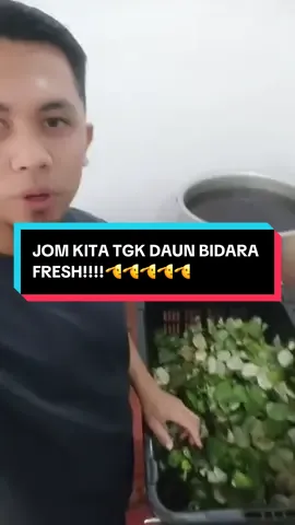 #fyp #minyakbidaraelelaaj #ustazariffinayob 