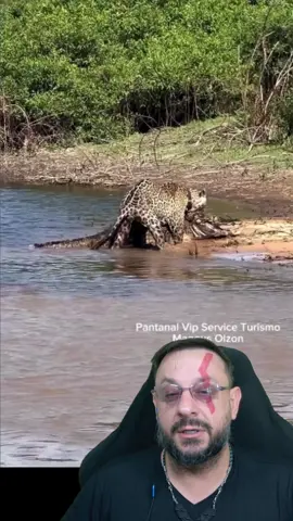 Ousado, a onça-pintada com técnica fenomenal #biologohenrique #animais #bichoesperto #biologo