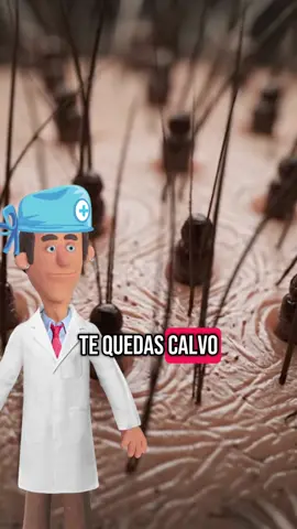 Por Qué Te Quedas Calvo? 👨‍🦲 #calvo #calva #cabellosaludable #cabellolargo #saludable 