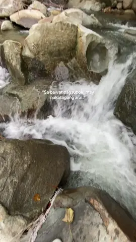 🍃#nature #fyppppppppppppppppppppppp 