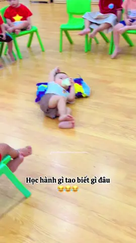 Học hành gì tao biết gì đâu 😂