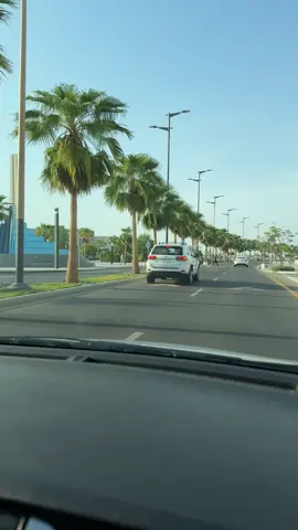 #اكسبلورررررررررررررررررررر💥🌟💥🌟💥💥🌟🌟🌟🌟🌟__ #شاطي #جدة #الشعب_الصيني_ماله_حل😂😂 