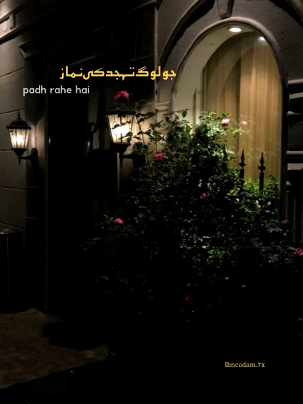 Tahajjud ki Namaz : 💐🤍 #tahajjud #Allah #viral_video #1m #foryou 
