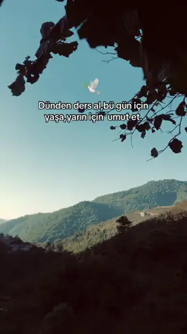 Yaşamak direnmektir… #keşfet  #kesfeteyiz  