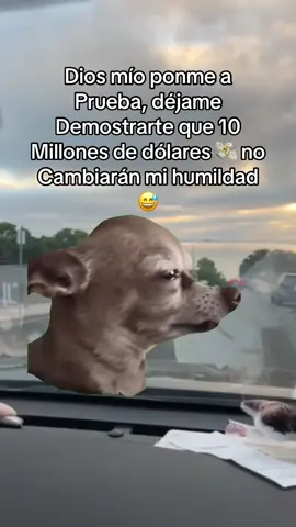 #Meme #MemeCut #😂😂😂 #humor 