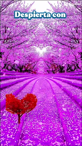 NUEVO AMANECER #buenosdias #gratitud #esperanza #JuanGabriel #nuevoamanecer 