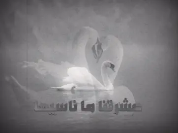 #fy #fyp #fypp #fyppppppppppppppppppppppp 