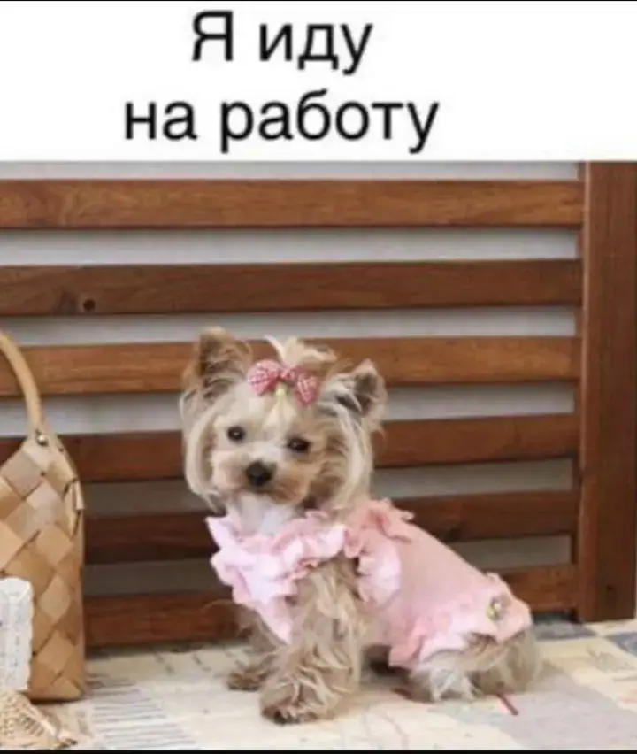 #fyp #врек #frypgシ 