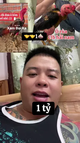 Thành kèo siêu 🏆 kinh điển thứ 6 tuần sau 5/9 ae nhé bao ít nhất 1 🧄 nhé có thể hơn nữa 🥰😍 ae ngóng chờ trận siêu cúp kinh điển này nhé   @THẢO DƯỢC OM DƯƠNG MINH TUYỀN @Gà thua Dakpeur @Thảo dược om Dương Minh Tuyền @TRUYỀN THÔNG DAKPUER @Truyền thông dakpeur TM  #gachoic1 #gachoivietnam  