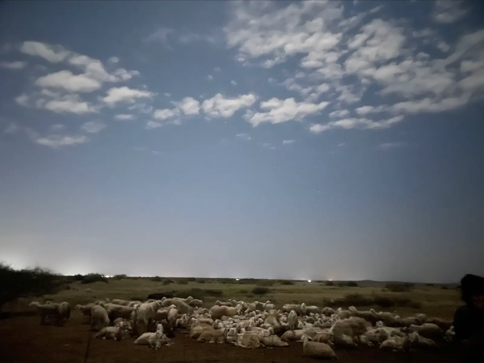 #مراح #الشريف🥇 #ذكرالله #زين #ذكرالله 🤍