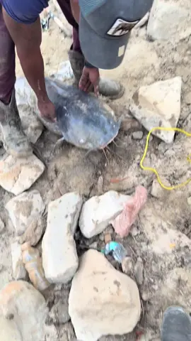 FAILED Releasee 😅 #Fyp #Viral #Fishing #PBCatfish 🥴