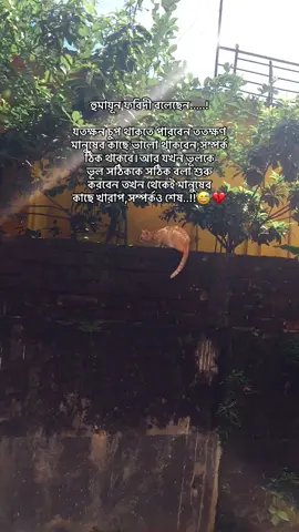 Part | | 103 : হুমমমম😅#foryoupage #foryoupage #foryoupage 