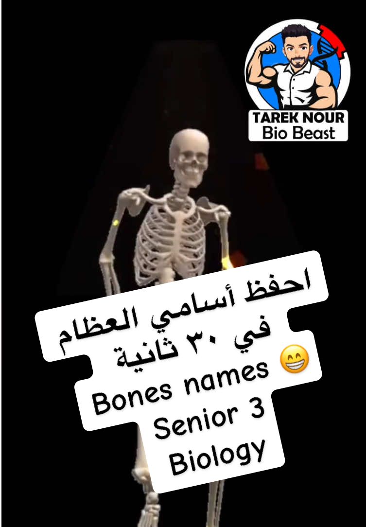 اخفظ أسامي العضم في ٣٠ ثانية بس 👌#viralvideo  #fyppppppppppppppppppppppp  #tareknourbiology #علمي_علوم 
