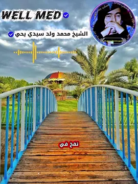 #الشيخ_محمد_ولد_سيدي_يحي #fyp #حركة_إكسبلور #fyp #foryou 