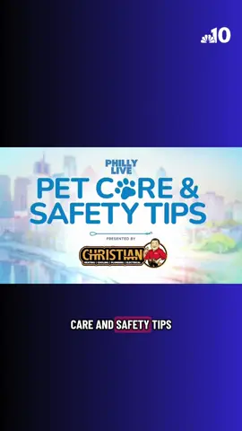 Cool drinks for cool pets! Help your furry friends beat the heat with easy tips to keep them cool and hydrated! And don’t forget, visit your local shelter and help #CleartheShelters by adopting today! #nbc10philly 