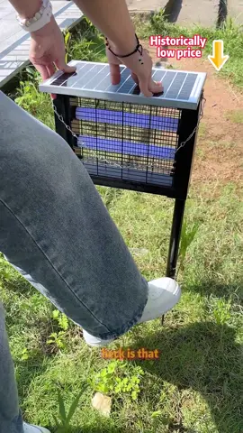 Eco-friendly mosquito control that actually WORKS.#mosquitoes #flies #solarbugzapper #mosquitokiller #laborday 