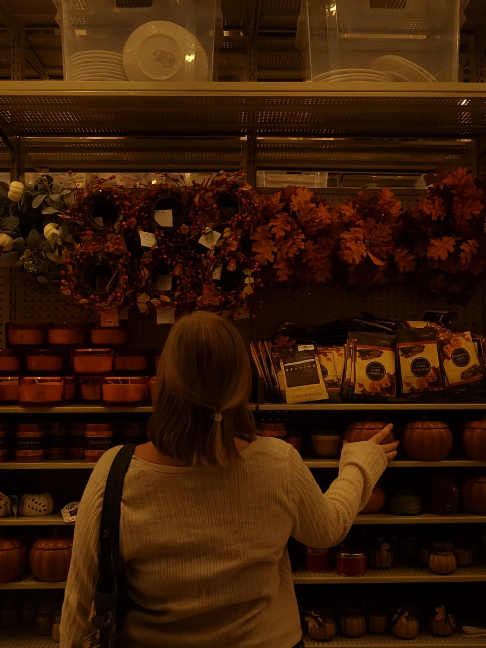 anyone want to get coffee and yap about fall?🦊☕️🕷🍁🧸 #fall #autumnaesthetic  #autumnaesthetic #coffeecoffee #falltok 