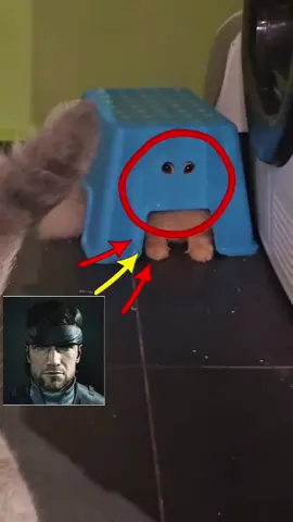 Metal gear solid on all sides #fyp #metalgearsolid #bigboss #snake #mgs 