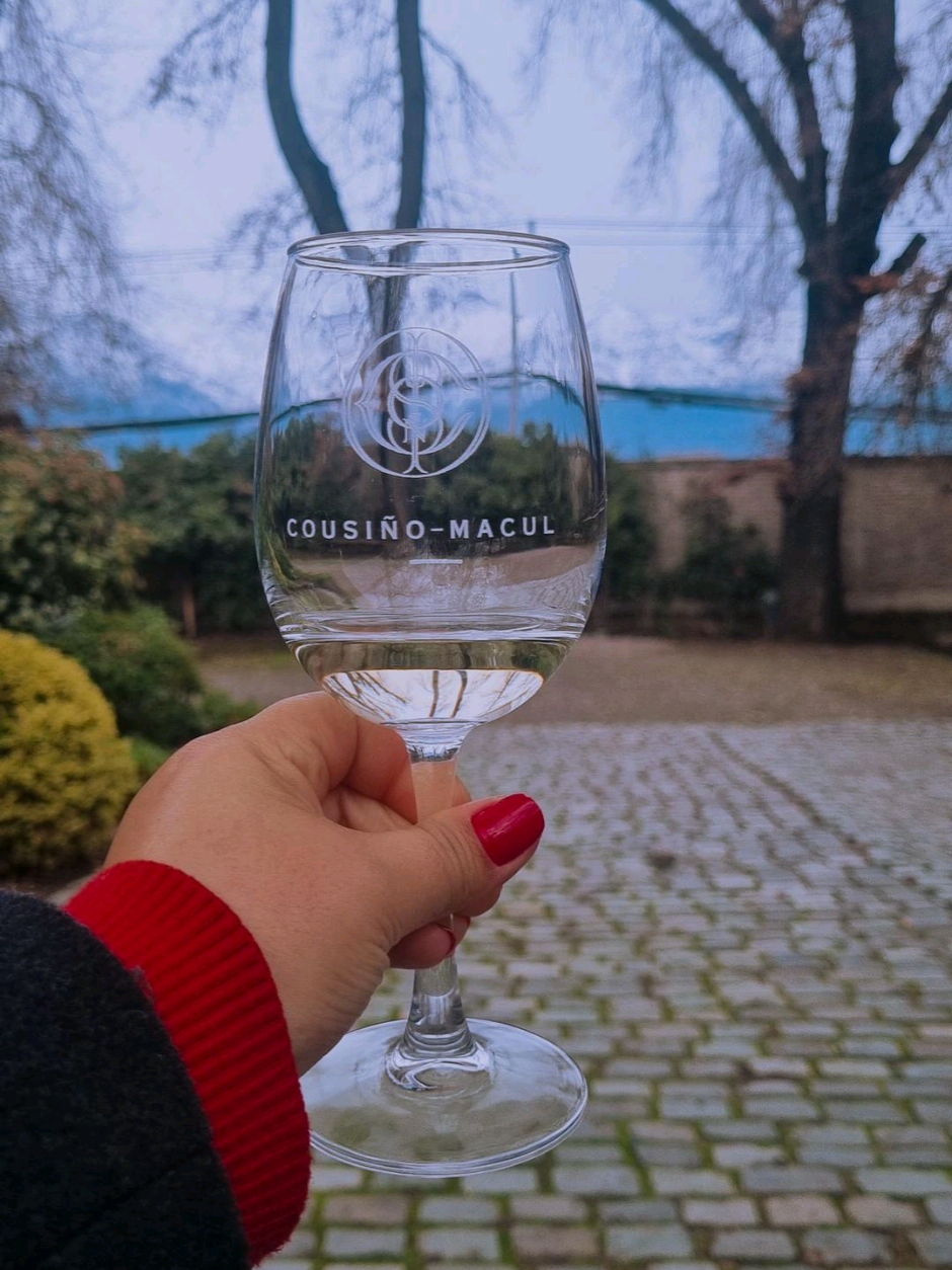Tour tradicional na vinícola Cousiño Macul 🍷 @cousinomaculbr  #vinos #viñacousinomacul #wines #Chile 