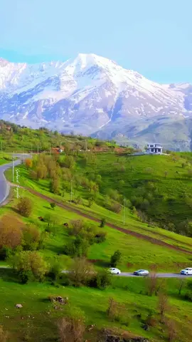 #kurdistan #iraq #kurd 