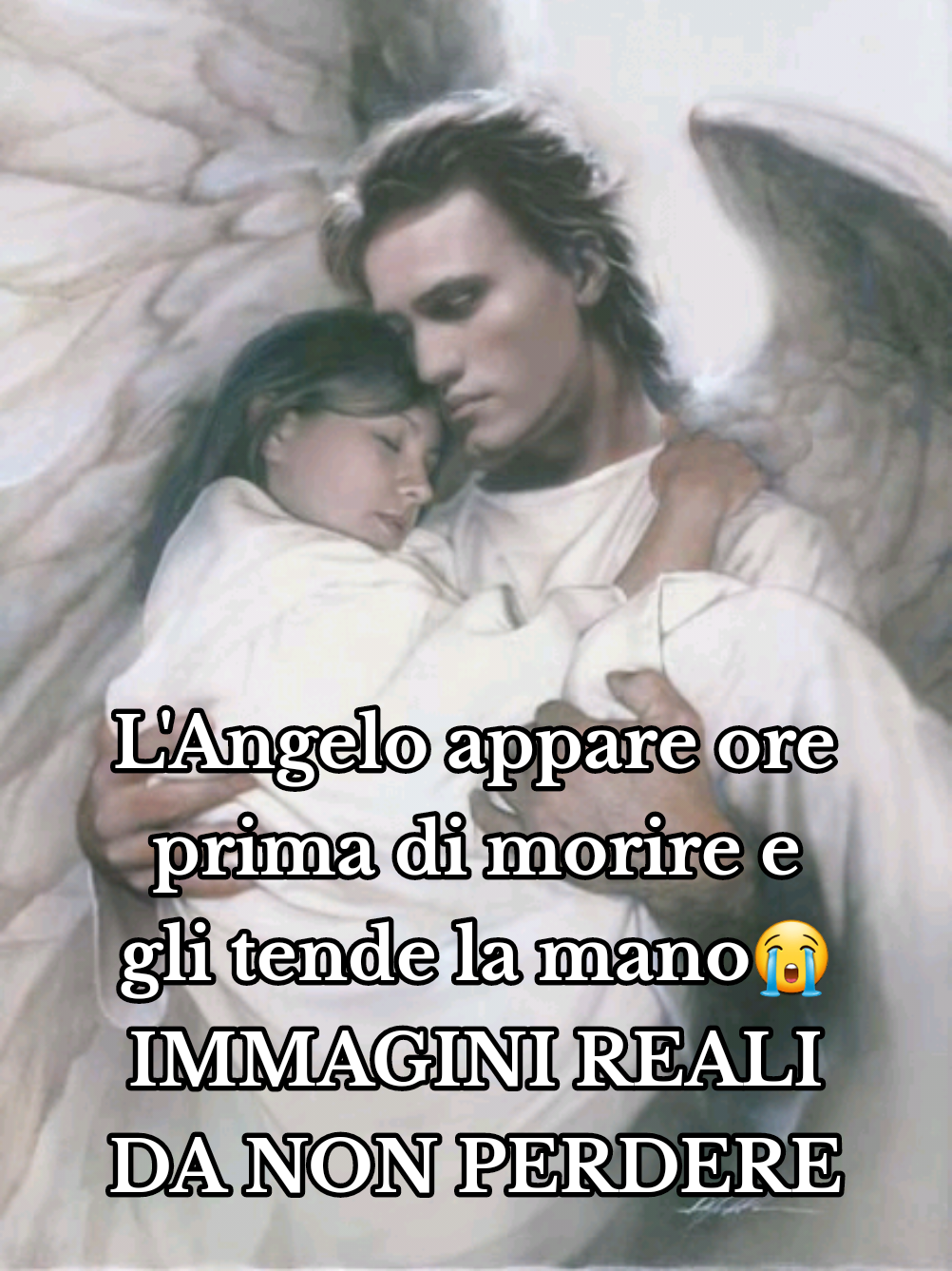 #perte #neiperte #seguimi #segui 