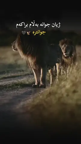 #ئەکتیڤبن🥀🖤ـہہـ٨ــہ 