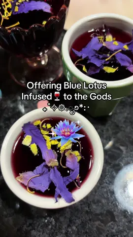 I LOVE Blue Lotus. Do you use it in your practice? 🩵🪷 #bluelotus #ancientegypt #ancientgreece #pagantok #hellenicpagan 