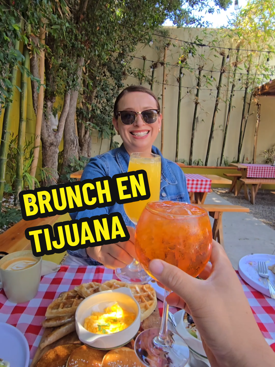 Una experiencia distinta en Tijuana ✅️ Picnic Brunch con mi esposa 
