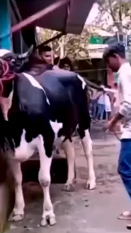 0945587600 #Love #ስጦታ #ethiopian_tik_tok #Gift #fyp #EthiopiaGifts