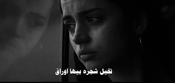 تخيل شجره بيها اوراق #fyp #explore #اكسبلور #عراقي #viral 