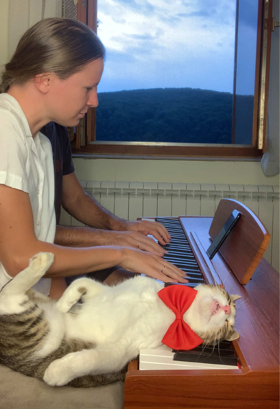 Sentimental Zlatko on Donner DDP-80 Piano (P.I. Tschaikowsky - Valse sentimentale Op. 51 N.6 ) @Donner Music  Donner DDP-80 Save 10% on OURA™ pianos with code ‘DVMK10’, or 15% off others with ‘DVMK’. Link in bio⬆️ #donnerddp80 #donnerartist #donner #donnerartist  #newpiano                          