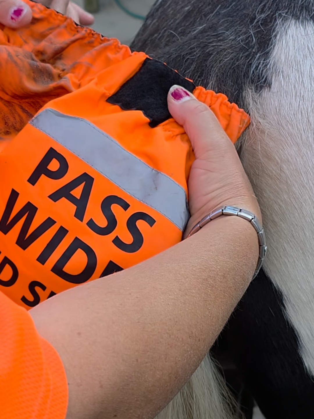 Too many drivers ignore the 2 metre rule 🚗 Keep your horse visible and safe on the roads 🐴 #horseriding #equestrian #passwideandslow #horsesoftiktok #rydar #horserider #fyp #roadsafety #horse