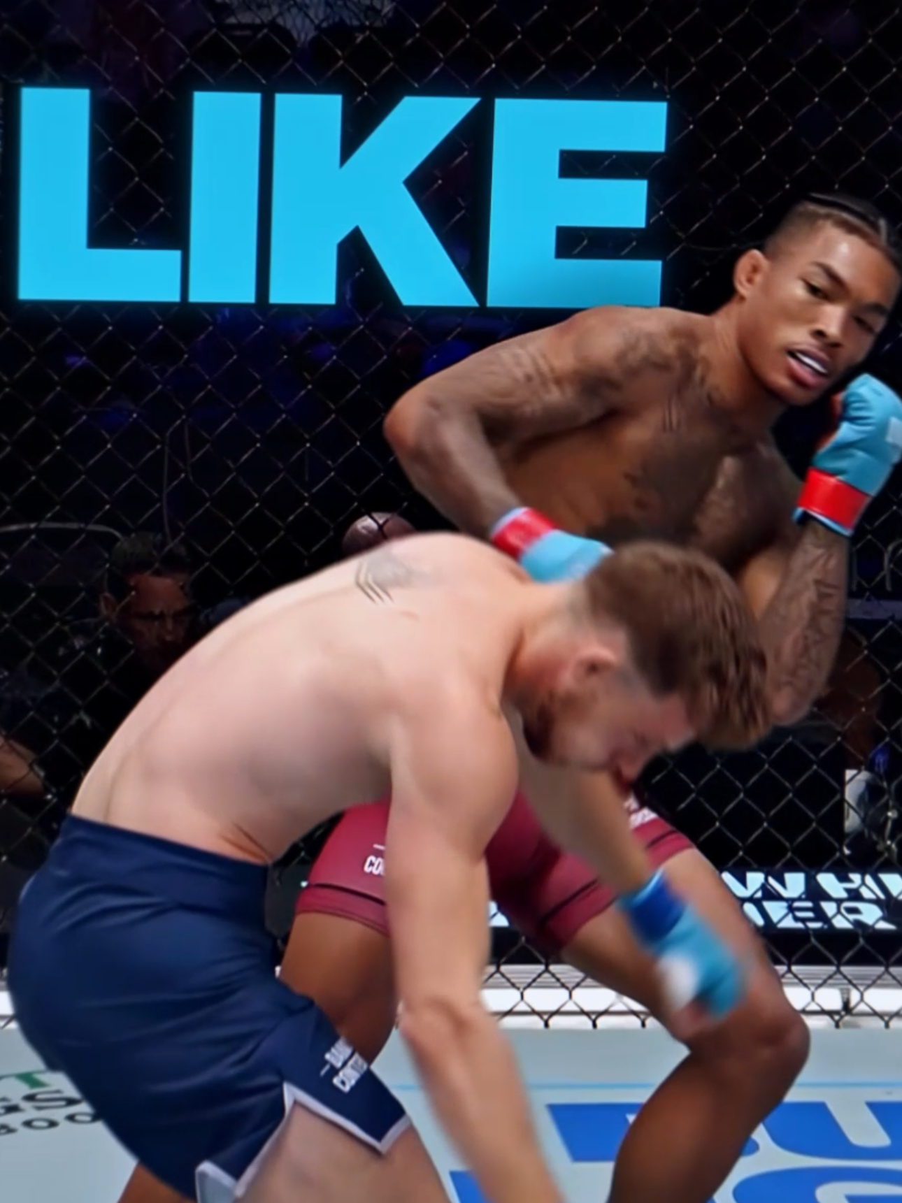 how does he hit so hard 😭 #wellmaker #UFC #mma #malcolmwellmaker #wallathemachine @WallaTheMachine @Sdot Go 