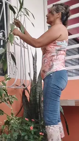 pero bueno.😁😁