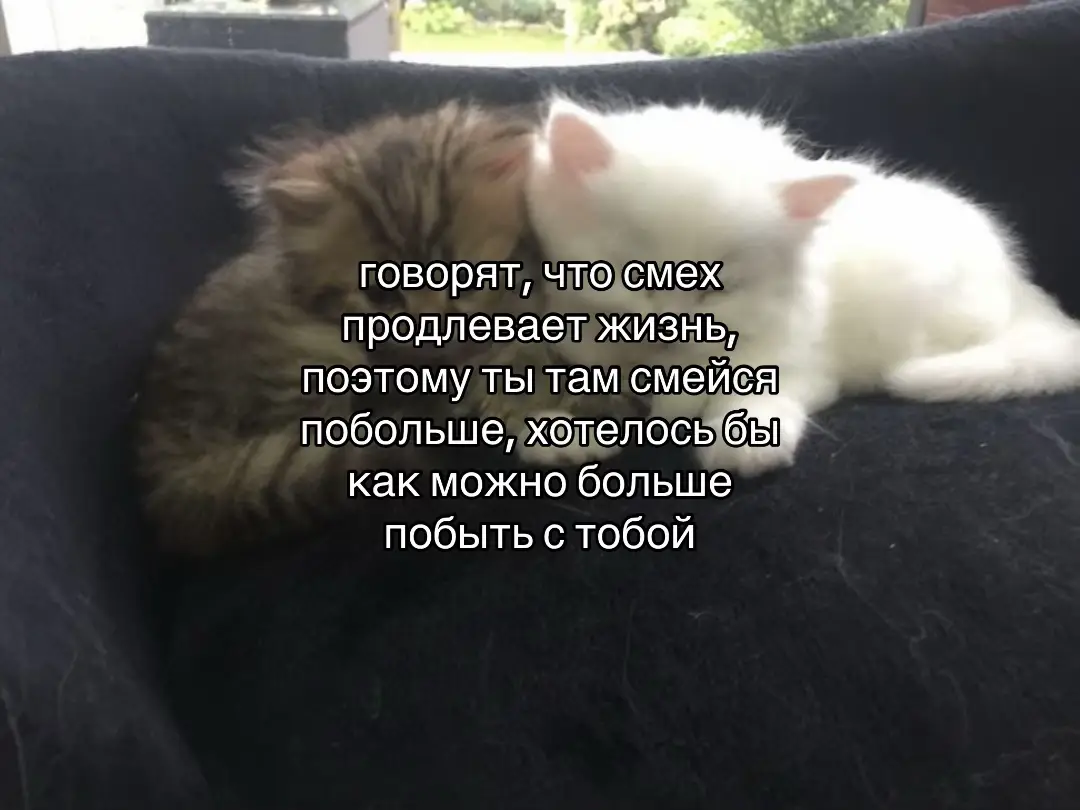 #krispisad 