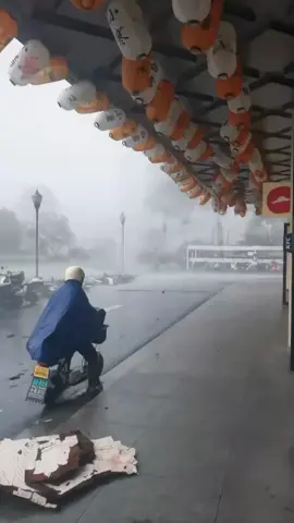 Terrifying Windstorm Sounds & Destruction | Nature’s Fury #Windstorm #Storm #ExtremeWeather #StormChasing #NatureFootage       